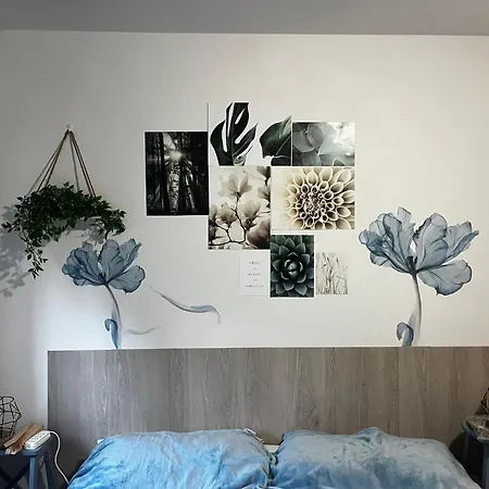Apartment House Da Ines *